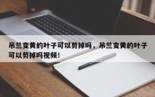 吊兰变黄的叶子可以剪掉吗，吊兰变黄的叶子可以剪掉吗视频！
