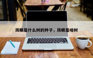 凤眼是什么树的种子，凤眼是啥树