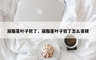 凝脂莲叶子软了，凝脂莲叶子软了怎么变硬