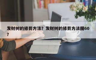 发财树的修剪方法？发财树的修剪方法图60？