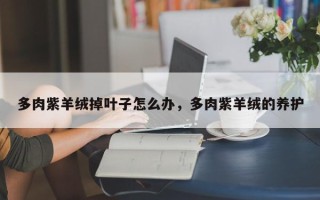 多肉紫羊绒掉叶子怎么办，多肉紫羊绒的养护