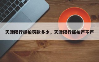 天津限行抓拍罚款多少，天津限行抓拍严不严