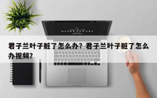 君子兰叶子脏了怎么办？君子兰叶子脏了怎么办视频？