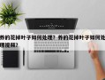 养的花掉叶子如何处理？养的花掉叶子如何处理视频？