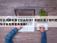 什么大树长满了什么叶子？大树长满了枝叶把句子补充得更具体些？