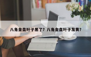 八角金盘叶子黑了？八角金盘叶子发黄？