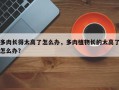多肉长得太高了怎么办，多肉植物长的太高了怎么办？
