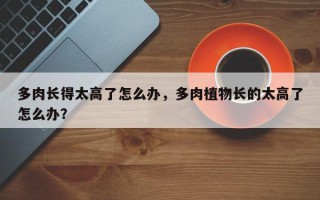 多肉长得太高了怎么办，多肉植物长的太高了怎么办？