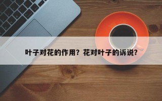叶子对花的作用？花对叶子的诉说？