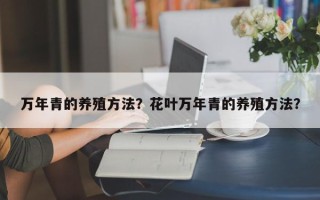 万年青的养殖方法？花叶万年青的养殖方法？