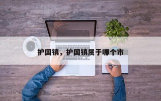 护国镇，护国镇属于哪个市