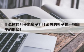 什么树的叶子象扇子？什么树的叶子像一把扇子的形状？