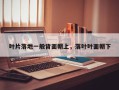 叶片落地一般背面朝上，落叶叶面朝下