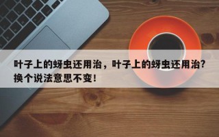 叶子上的蚜虫还用治，叶子上的蚜虫还用治?换个说法意思不变！