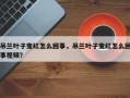 吊兰叶子变红怎么回事，吊兰叶子变红怎么回事视频？