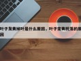 叶子发黄掉叶是什么原因，叶子变黄脱落的原因