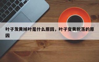 叶子发黄掉叶是什么原因，叶子变黄脱落的原因