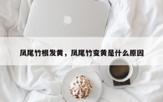 凤尾竹根发黄，凤尾竹变黄是什么原因