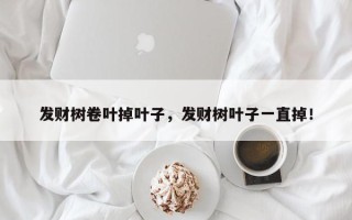 发财树卷叶掉叶子，发财树叶子一直掉！
