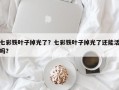 七彩铁叶子掉光了？七彩铁叶子掉光了还能活吗？