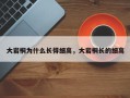 大岩桐为什么长得细高，大岩桐长的细高