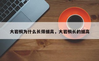 大岩桐为什么长得细高，大岩桐长的细高