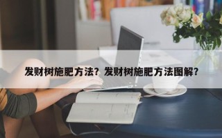 发财树施肥方法？发财树施肥方法图解？