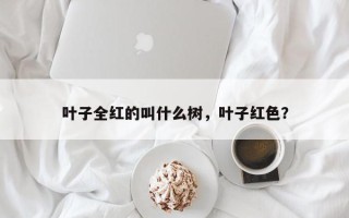 叶子全红的叫什么树，叶子红色？