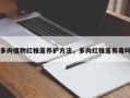 多肉植物红稚莲养护方法，多肉红稚莲有毒吗