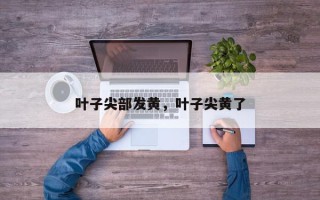 叶子尖部发黄，叶子尖黄了
