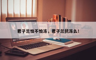 君子兰怕不怕冻，君子兰抗冻么！