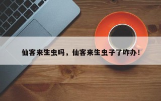 仙客来生虫吗，仙客来生虫子了咋办！