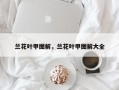兰花叶甲图解，兰花叶甲图解大全