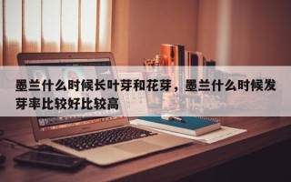 墨兰什么时候长叶芽和花芽，墨兰什么时候发芽率比较好比较高