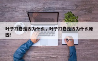 叶子打卷是因为什么，叶子打卷是因为什么原因！