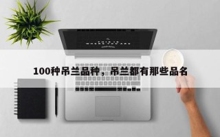 100种吊兰品种，吊兰都有那些品名