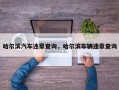 哈尔滨汽车违章查询，哈尔滨车辆违章查询