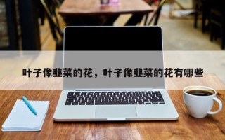 叶子像韭菜的花，叶子像韭菜的花有哪些