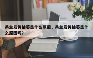 吊兰发黄枯萎是什么原因，吊兰发黄枯萎是什么原因呢？