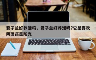 君子兰好养活吗，君子兰好养活吗?它是喜欢阴面还是阳光