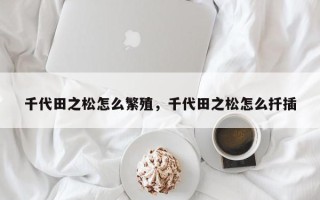 千代田之松怎么繁殖，千代田之松怎么扦插