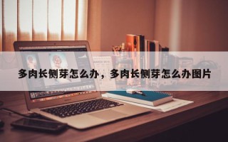多肉长侧芽怎么办，多肉长侧芽怎么办图片