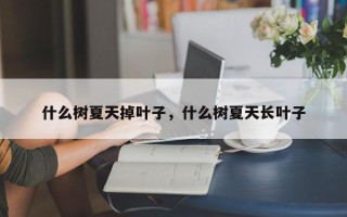 什么树夏天掉叶子，什么树夏天长叶子