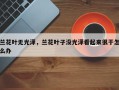 兰花叶无光泽，兰花叶子没光泽看起来很干怎么办