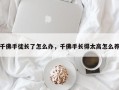 千佛手徒长了怎么办，千佛手长得太高怎么养