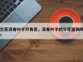 兰花没有叶子只有花，没有叶子的兰花值钱吗！