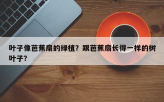 叶子像芭蕉扇的绿植？跟芭蕉扇长得一样的树叶子？