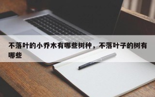 不落叶的小乔木有哪些树种，不落叶子的树有哪些