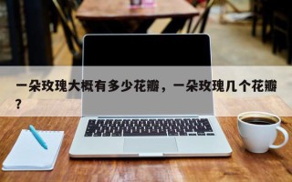 一朵玫瑰大概有多少花瓣，一朵玫瑰几个花瓣？