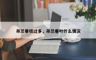吊兰垂枝过多，吊兰垂叶什么情况